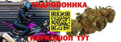 гашик Краснодар