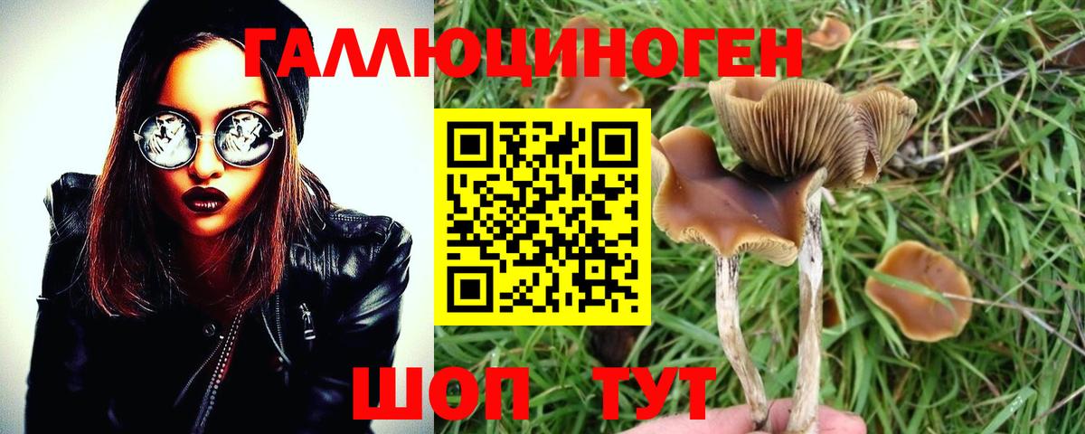 Псилоцибиновые грибы мицелий  Галлюциногенные грибы Psilocybine cubensis  Вход с VPN  Глазов 